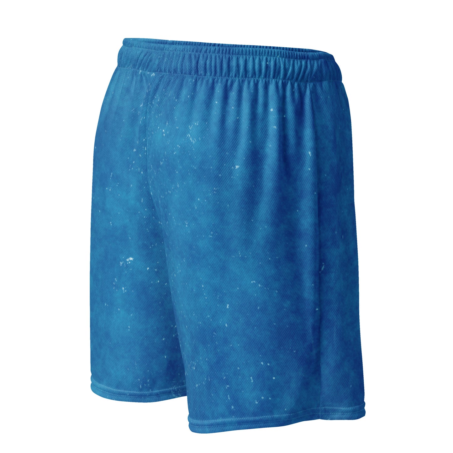 Jhanka Juxtapose - mesh shorts