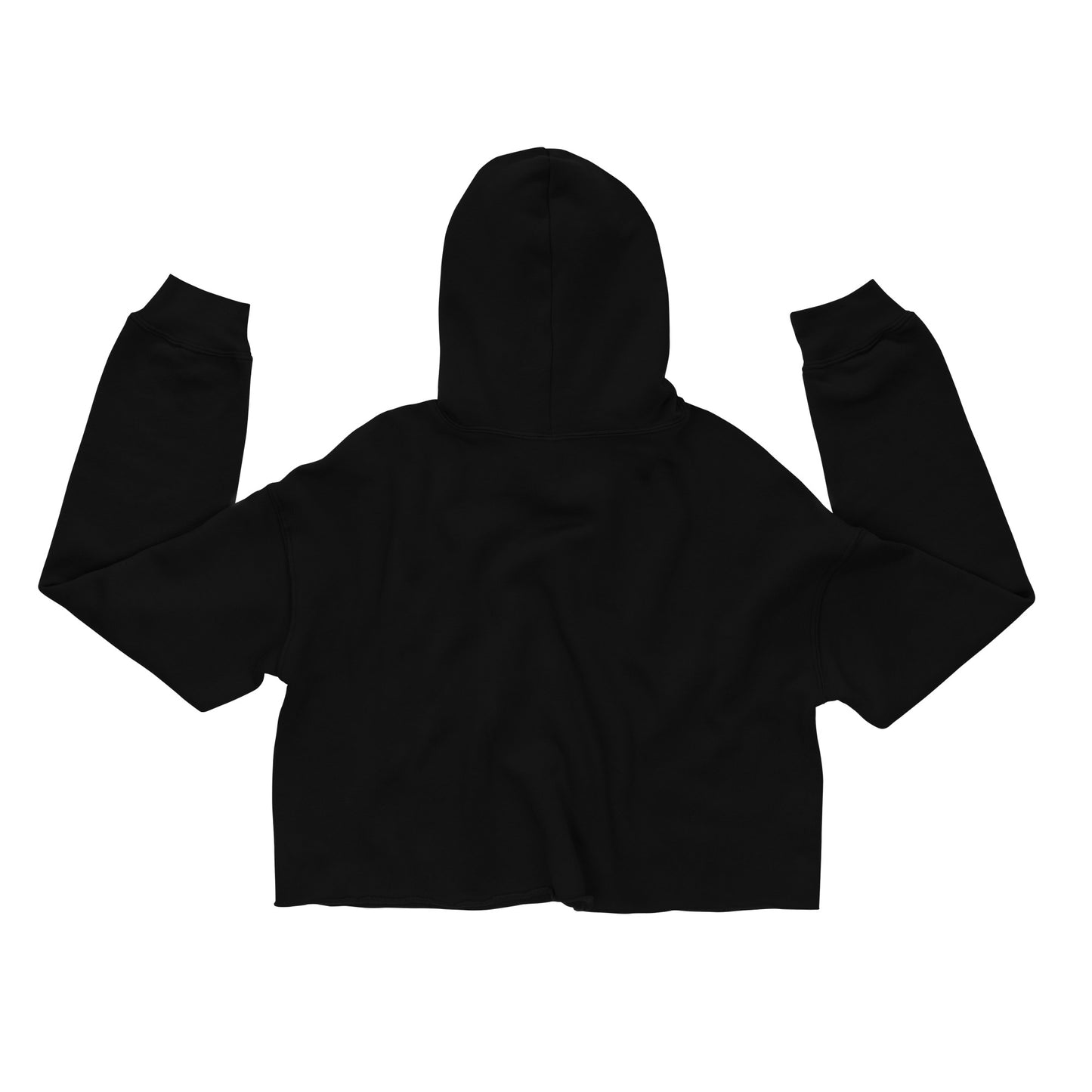 Jhanka Echo - Crop Hoodie